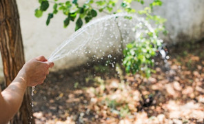 wateringcover