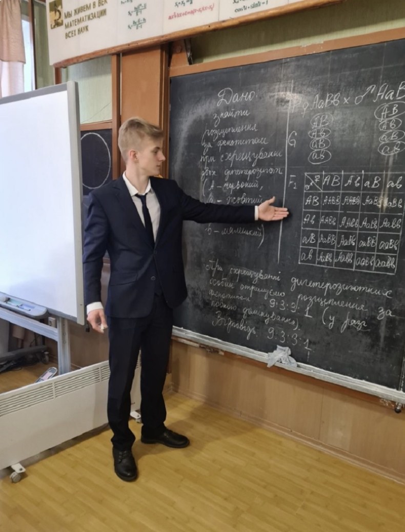 Арсений Люлька решает задание