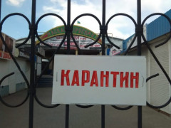 kritij-rinok-karantin-kramatorsk
