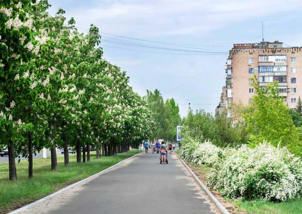 vasil-bazilev-dvortsovaya