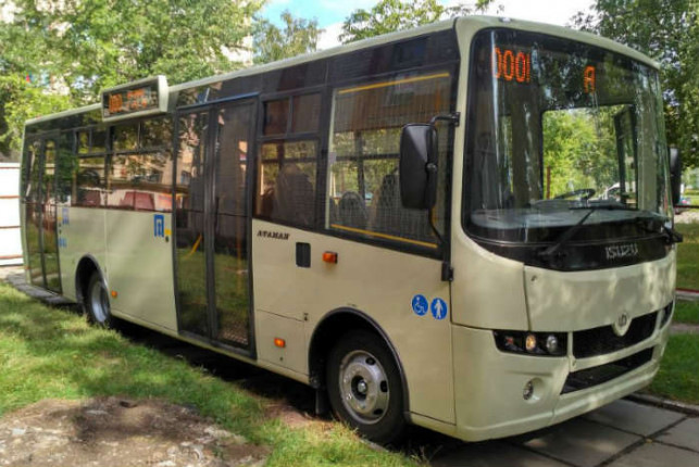 bus
