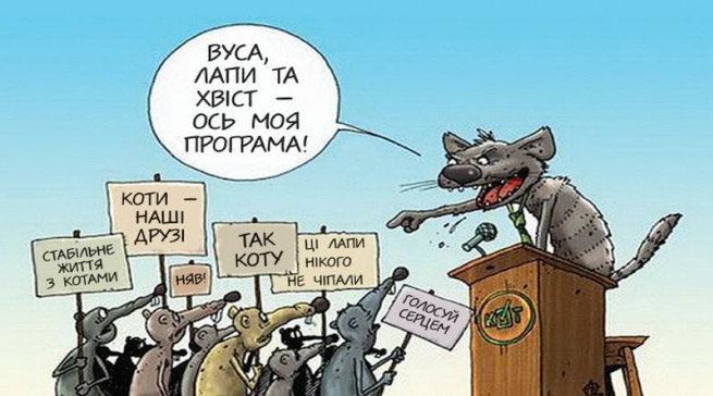 vybory1