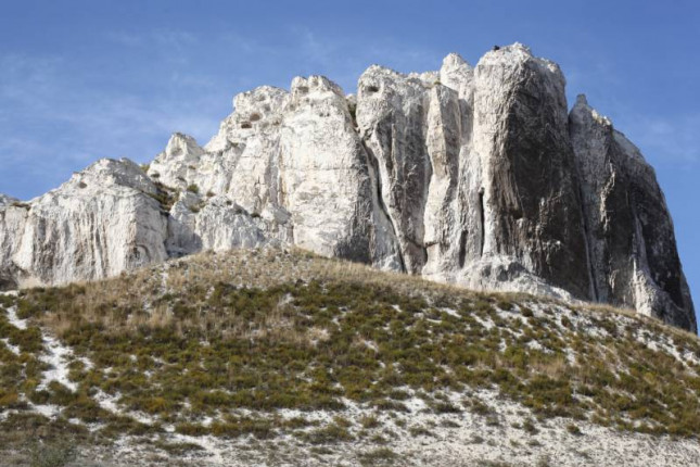 belokuzminovka