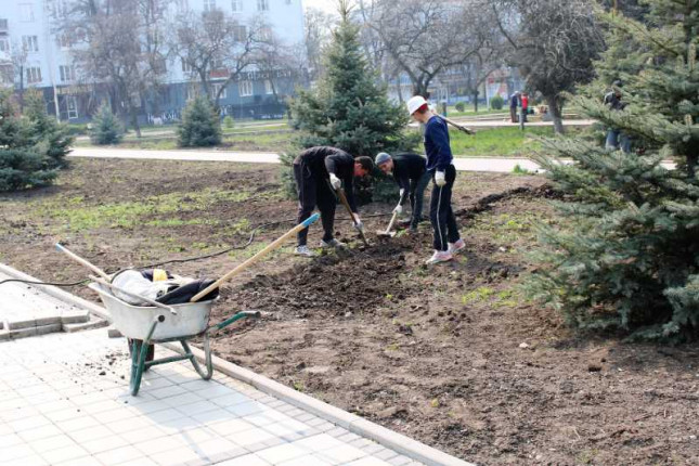 labirint-transeyu-kopayut-1