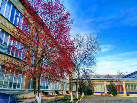skola-25-sklyarova
