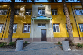 дс Зернятко7 (1)
